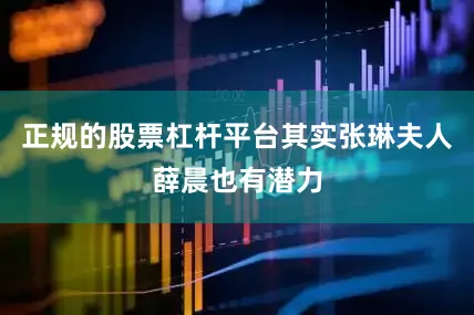 正规的股票杠杆平台其实张琳夫人薛晨也有潜力