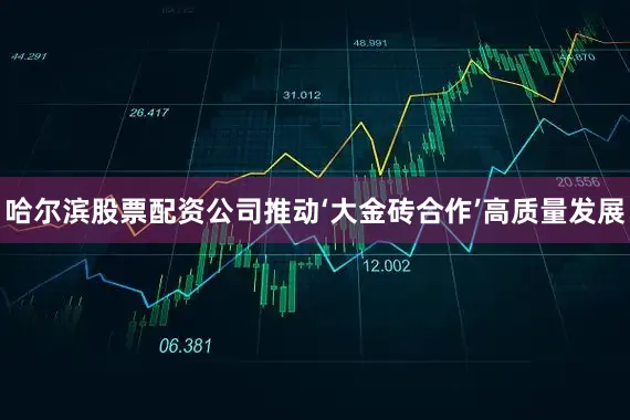 哈尔滨股票配资公司推动‘大金砖合作’高质量发展