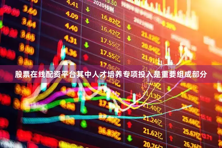 股票在线配资平台其中人才培养专项投入是重要组成部分
